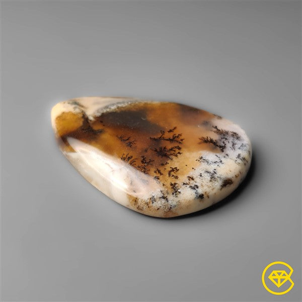 Dendritic Agate