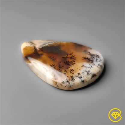 Dendritic Agate