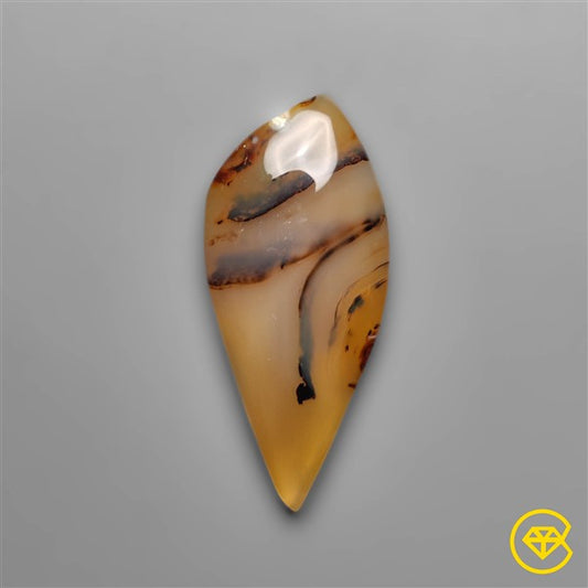 Montana Agate
