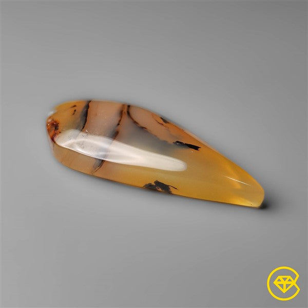 Montana Agate