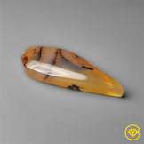 Montana Agate