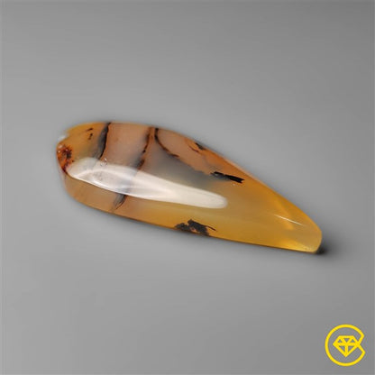 Montana Agate