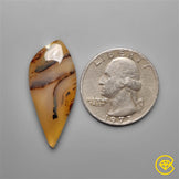 Montana Agate