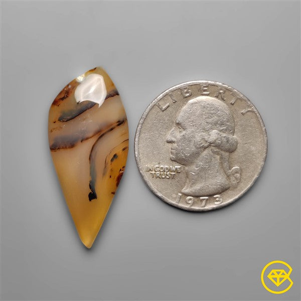 Montana Agate