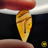 Montana Agate