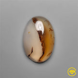Montana Agate