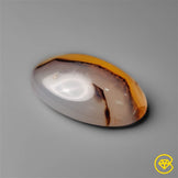 Montana Agate