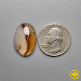 Montana Agate