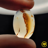 Montana Agate