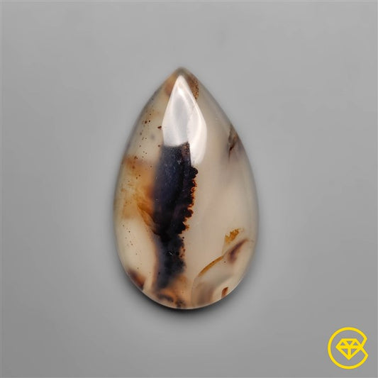 Montana Agate