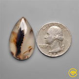 Montana Agate