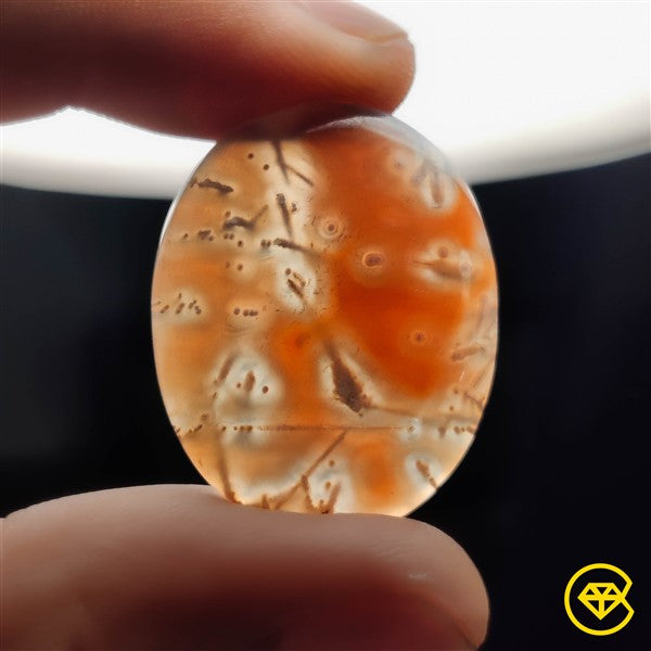 Botswana Agate