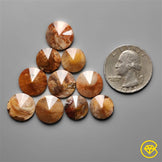 Petrified Wood