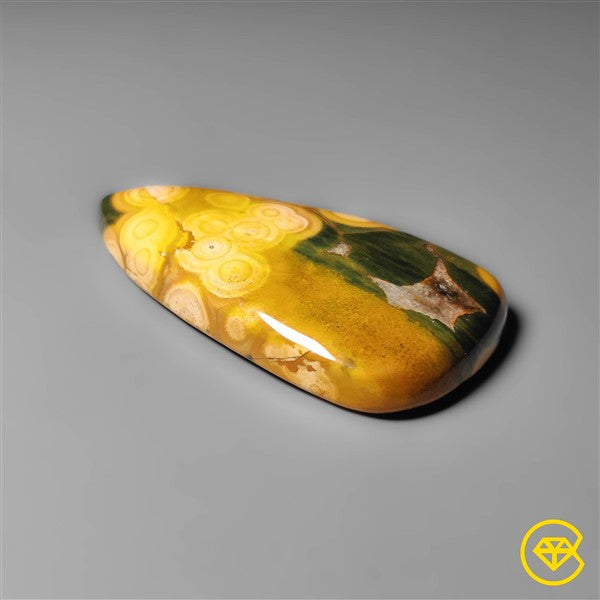 Ocean Jasper