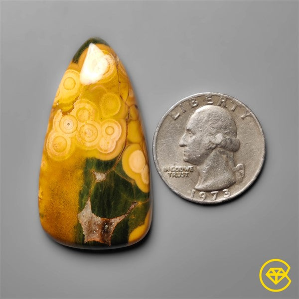 Ocean Jasper