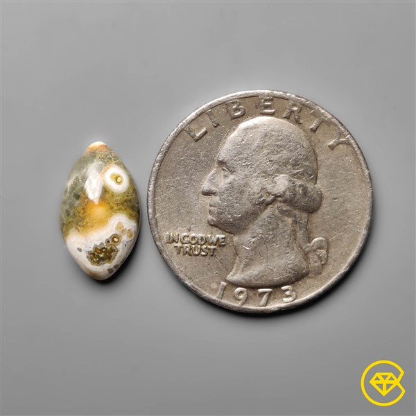 Ocean Jasper