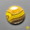 Bumble Bee Jasper