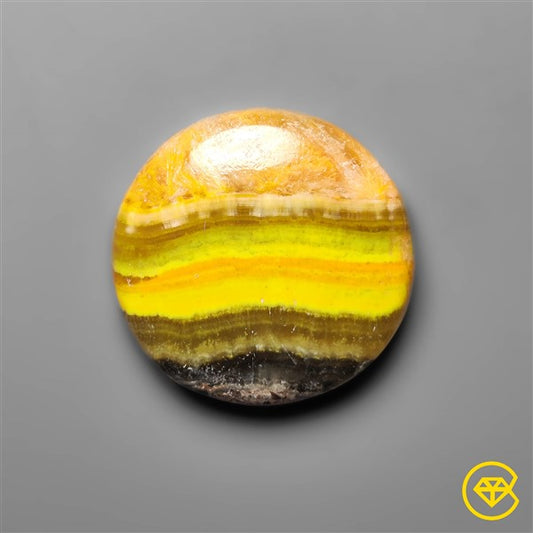 Bumble Bee Jasper