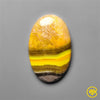 Bumble Bee Jasper