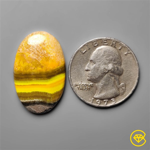 Bumble Bee Jasper