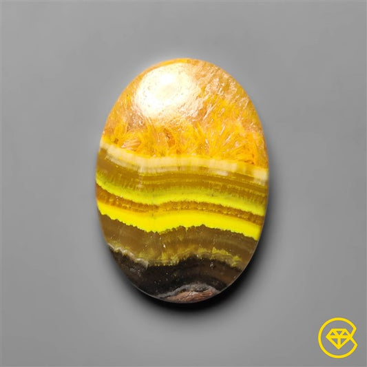 Bumble Bee Jasper