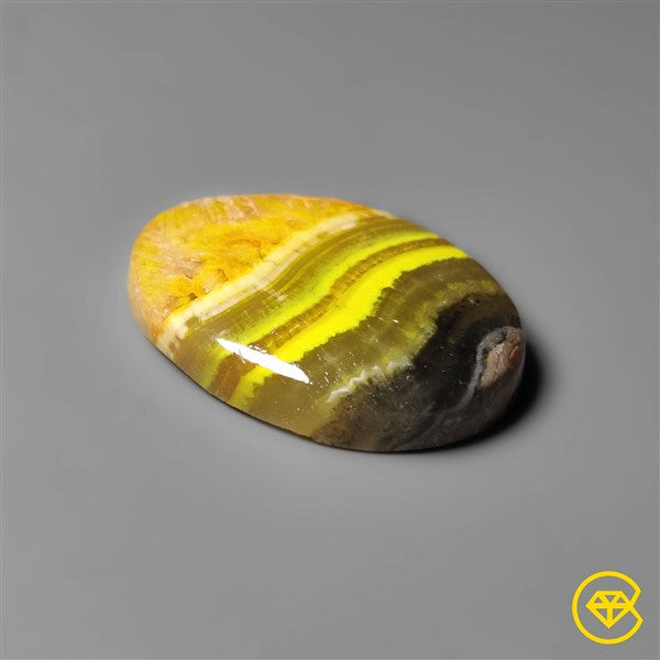 Bumble Bee Jasper
