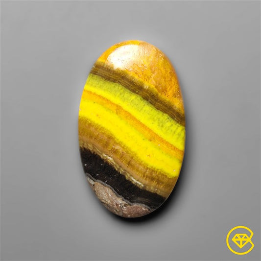 Bumble Bee Jasper