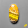 Bumble Bee Jasper