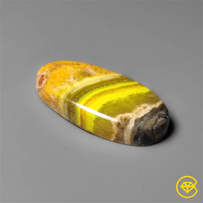 Bumble Bee Jasper