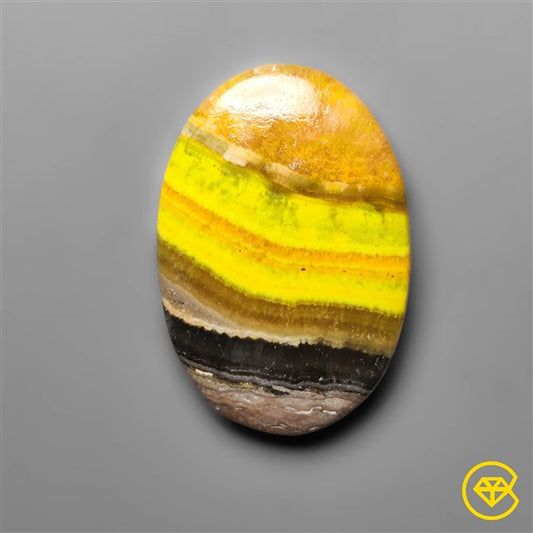 Bumble Bee Jasper