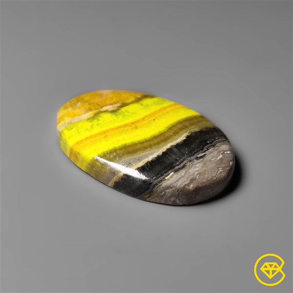 Bumble Bee Jasper