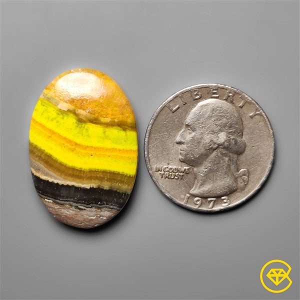 Bumble Bee Jasper