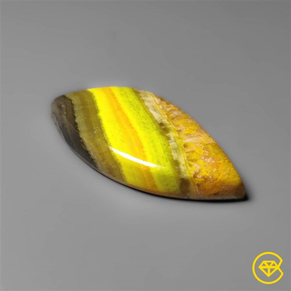 Bumble Bee Jasper