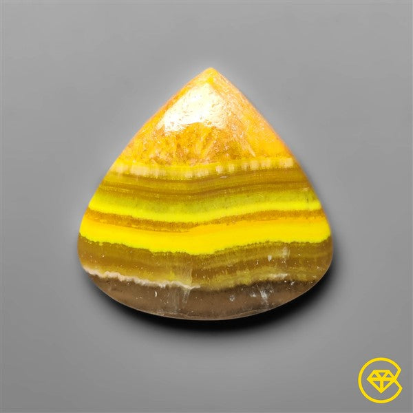 Bumble Bee Jasper