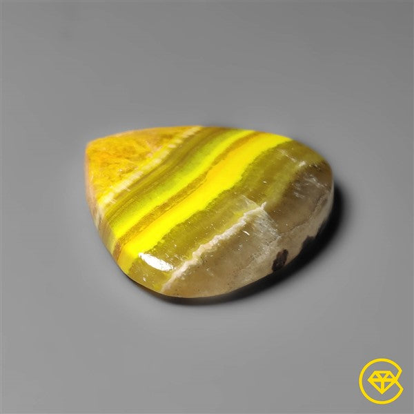 Bumble Bee Jasper