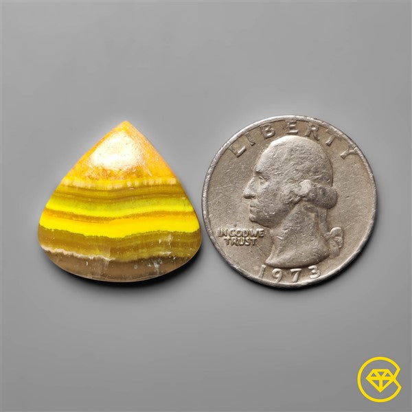 Bumble Bee Jasper