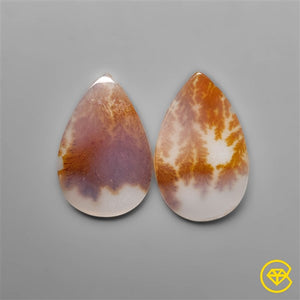 AAA Scenic Dendritic Agates Pair