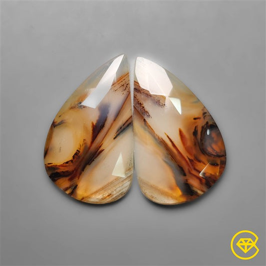 Montana Agate