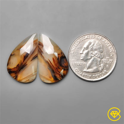 Montana Agate