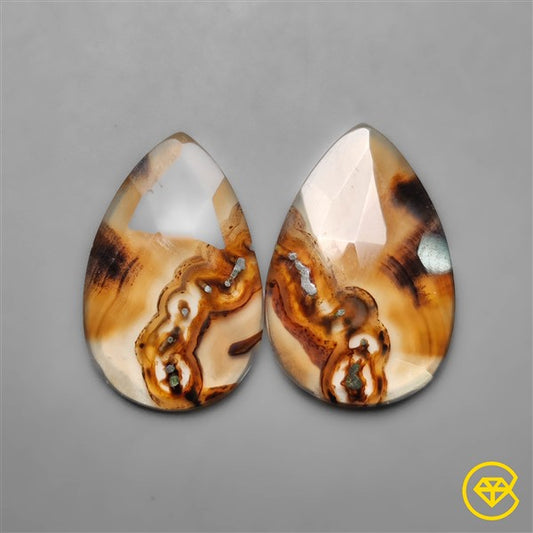 Montana Agate