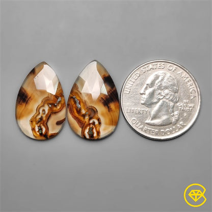Montana Agate