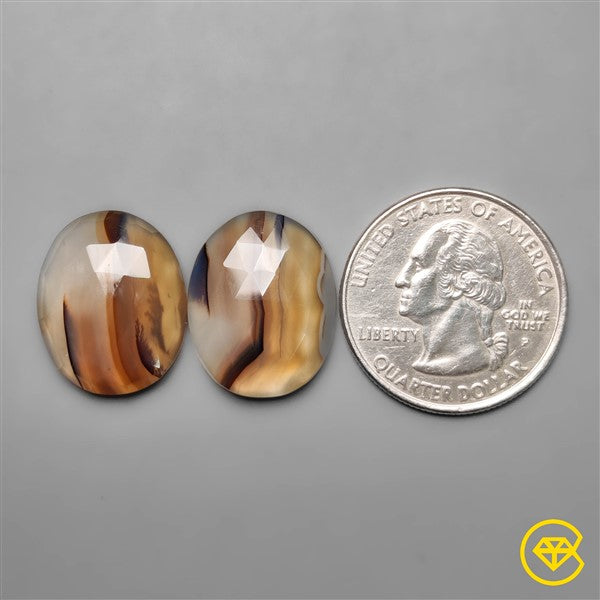 Montana Agate