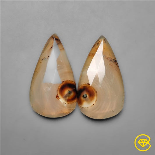Montana Agate