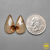 Montana Agate