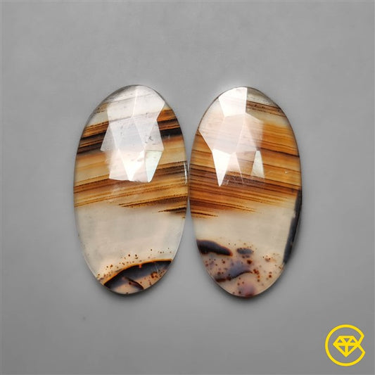 Montana Agate