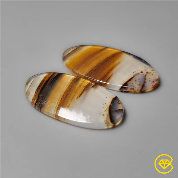 Montana Agate