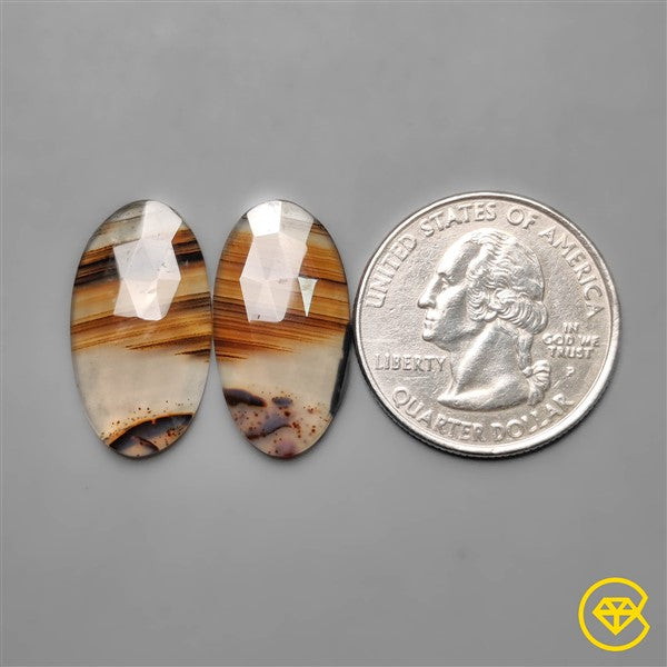Montana Agate