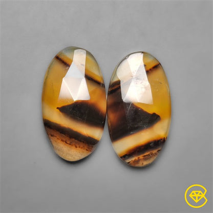 Montana Agate