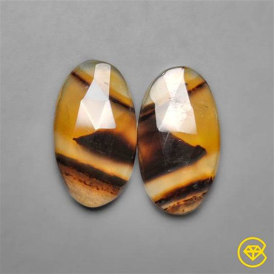 Montana Agate