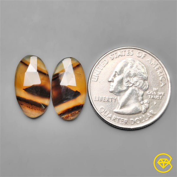 Montana Agate